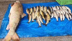 Elazığda oltaya takıldı: 40 yıldır bu işi yapıyorum böyle güzel balık görmedim