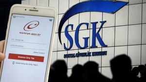 Danıştay harekete geçti, e-Devlet’ten kaldırıldı 29 kodu ne anlama geliyor Uzman isim Milliyet.com.trye anlattı