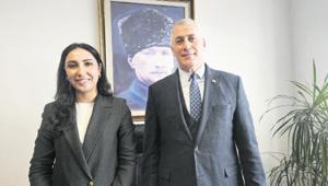 Yavru vatana güneş enerjisi santrali