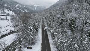 Fotoğraf tutkunlarını 9 kilometrelik rotası: Ağaç Tünel