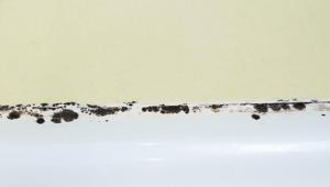 Ne küf kalıyor ne de kararma Silikonlardaki siyah lekeleri saniyeler içinde temizliyor