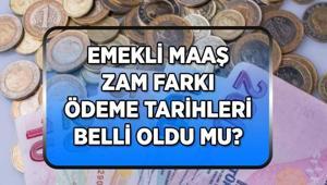 ZAMLI MAAŞ ÖDEMELERİ DEVAM EDİYOR En düşük emekli maaşı 20 bin TL oldu mu, meclisten geçti mi 3.119 TLlik emekli maaş fark ödemeleri ne zaman hesaplara yatacak