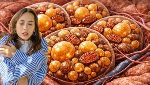 Kat kat giyiyoruz ama nafile Vücudun gizli kaloriferi buymuş