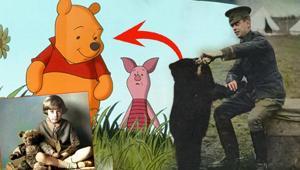 20 dolara alındı, alayın maskotu oldu Savaş cephesinden çizgi filme: En uysal ayı