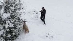 Gördüğü anda tüfeğine sarıldı Çoban ile dron pilotu arasında aksiyon dolu anlar