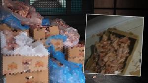 Mide bulandıran görüntüler Yakalanmasalardı vatandaşa yedireceklerdi