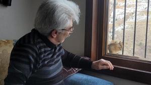 Camdaki misafir Rıfkı her gün yemeğini almaya geliyor: Birlikte vakit geçiriyoruz