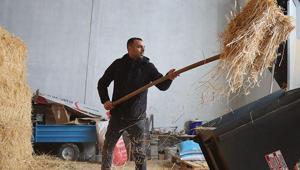 Devlet destek verdi: Erzincanlı genç girişimci hayvancılıktan modern üretime geçti