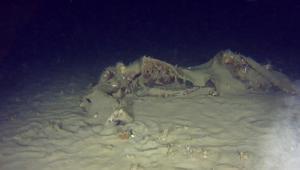 50 yıllık sır çözülüyor Marmara Denizinde bulundu