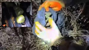 Yerlikaya duyurdu Narkokapan Diyarbakır ve Manisa operasyonlarımda 445 kişi yakalandı