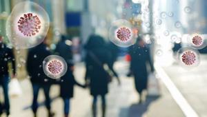 Yeni bir pandemi mi Nipah virüsü hakkında bilmeniz gerekenler