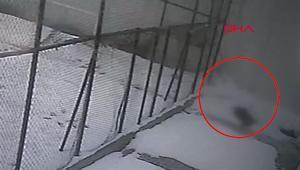 Cam silerken hayatını kaybetti Öğretmenin düştüğü anlar kamerada