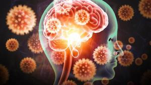 Yarasalardan bulaşan ölümcül virüse karşı uyarı