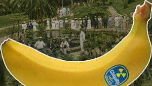 Market rafındaki muz ülkeleri nasıl yönetti Çikitanın darbelere uzanan 127 yıllık hikâyesi