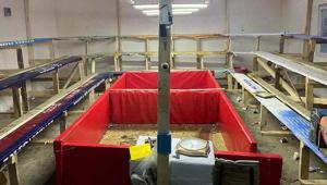 Drone destekli baskın Horoz dövüşü ringinde 91 kişiye 1 milyon liralık ceza