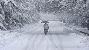 Japonyada kar felaketi Can kaybı korkunç seviyede