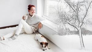 Kışın evi ışıl ışıl yapıyor Işık açmadan da aydınlık olabilir: Vazoları doldurun