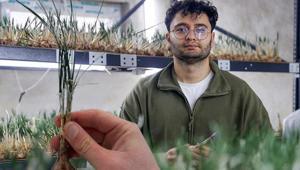 Deneme diye başladı mesleği oldu Bir odalık alanda altın gibi üretim: Gramı 600 TL’ye satılıyor