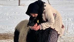 Van’da yürek ısıtan dostluk: Esmer kız ile Karakız Onu görmeden güne başlayamıyorum