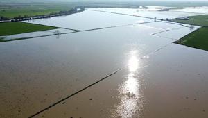 Menderes Nehri taştı: 2 bin dönümlük arazi sular altında kaldı