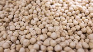 Ticaret borsalarında 217 bin tonu aşkın fındık işlem gördü