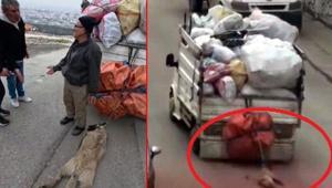Ankarada korkunç işkence Sürüklenen köpek son anda kurtarıldı
