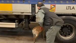 Edirnede 240 kilogram uyuşturucu ele geçirildi