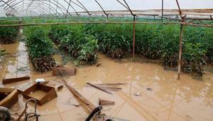 Geçen haftaki yağış ve hortumun faturası Antalyaya ağır oldu