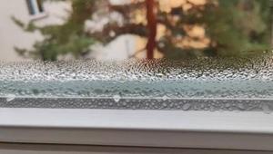 Kışın evin nemini şıp diye kesiyor: Pencere kenarına 1 kase koymanız yeterli