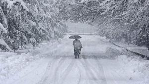 Japonyada ağır bilanço Kar felaketinde ölü sayısı 46ye yükseldi