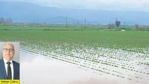 ‘Yağmur suyunu muhafaza etmeliyiz’