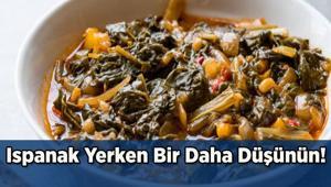 Ispanak Yerken Bir Daha Düşünün Tüketmeden Önce Bunlara Dikkat Edin