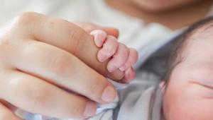 Düşük doğum oranına karşı skandal öneri Yabancı kadın ithal edelim dedi, partiden ihraç edildi