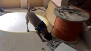 Avcılarda uyuşturucu operasyonu: 50 kilo 809 gram metamfetamin ele geçirildi