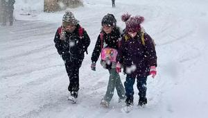 Vanda eğitime kar engeli İşte tatil olan ilçeler