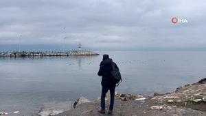 Korkunç olay: 5 yaşındaki oğlunu denizde boğdu: Ölmek istiyordu ben de onu denize ittim