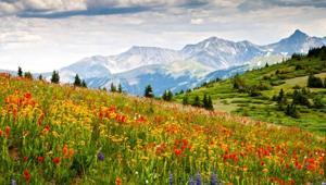 CEMRE DÜŞME TARİHİ: Birinci cemre ne zaman düşecek İlk cemre havaya, suya, toprağa ayın kaçında, kaç gün arayla düşer