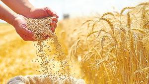 ‘İsrail’den tek bir tohum almıyoruz’