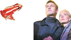 Dünya bu zehri konuşuyor