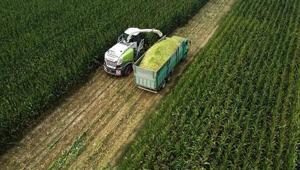 Tarım ÜFE ocakta aylık bazda yüzde 8,46 arttı