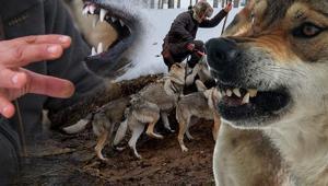 Kurgu değil gerçek Sivas dağlarında bir Kurt Adam: Eksi 30da ne elektrik ne su var