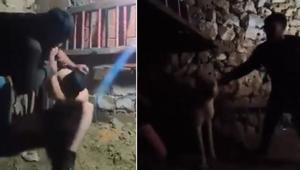 Mardinde ahırda çocuğa işkence Anne isyan etti