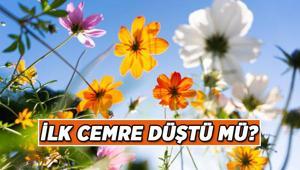 CEMRE DÜŞTÜ MÜ, NE ZAMAN DÜŞECEK 2026 Cemre düşme tarihleri: Havaya, suya, toprağa...