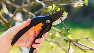 Nisan gelmeden budayın Bu mevsimde kesince meyveler coşuyor