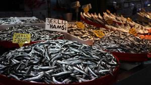 Balıkçı tezgahlarında hamsi ve istavrit bolluğu