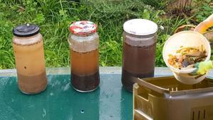 Bahar gelmeden fideleri coşturuyor Ev yapımı gübrede hasat 2 katına çıkıyor