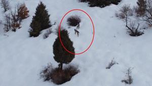 Kırmızı listede Erzincanda ortaya çıktılar: Karların içinde inanılmaz manzara