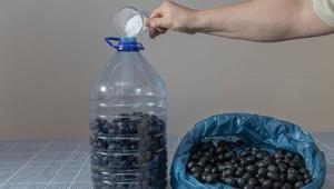 Kaya tuzu ile zeytin nasıl kurulur Hiçbir şeye gerek yokmuş, kavanozda bekletin