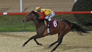 Dünya Kadınlar Günü Koşusunda kazanan Jaehaera oldu