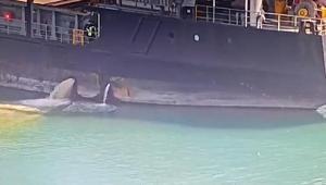 Mersin’de denizi kirleten gemiye 13 milyon 187 bin 913 TL ceza